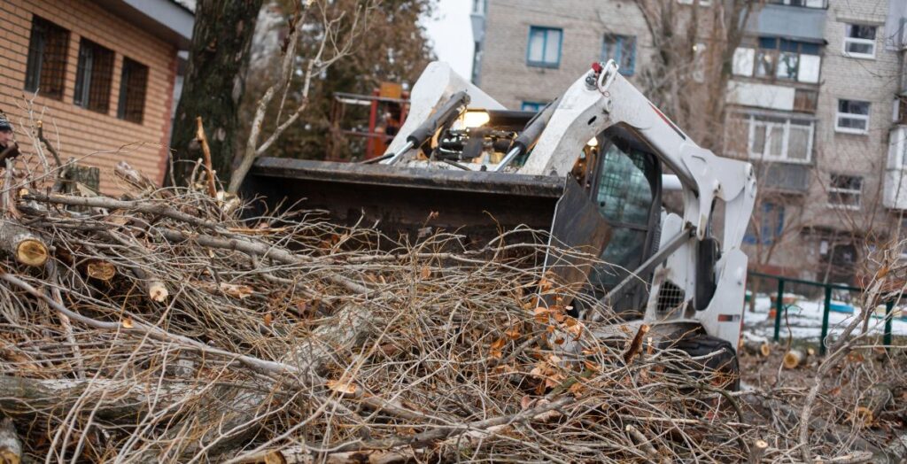Emergency tree removal