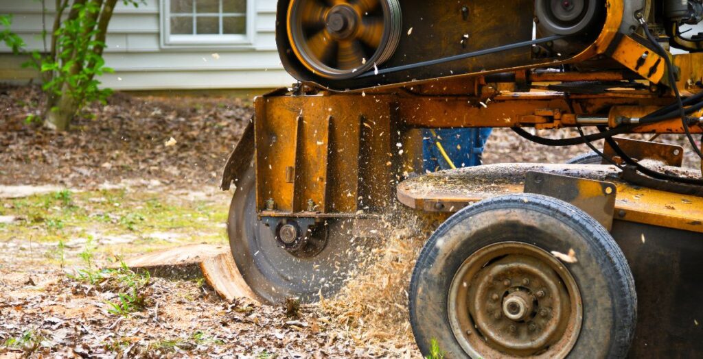 Fast stump grinding
