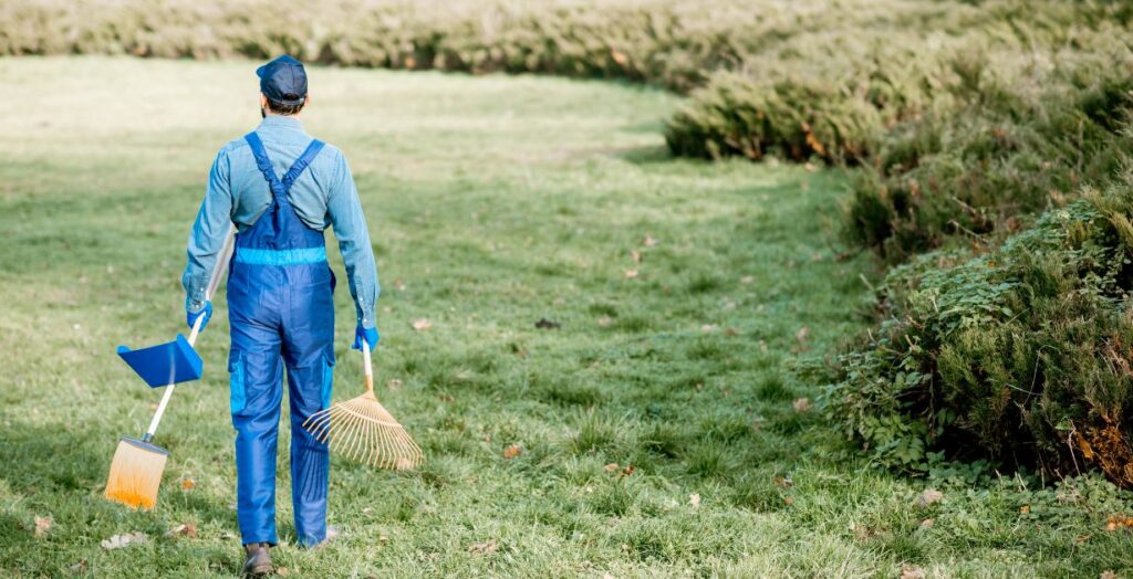 Garden maintenance services