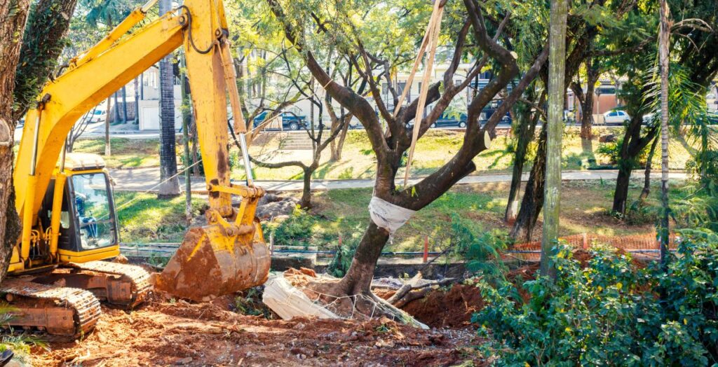 Emergency tree removal costs